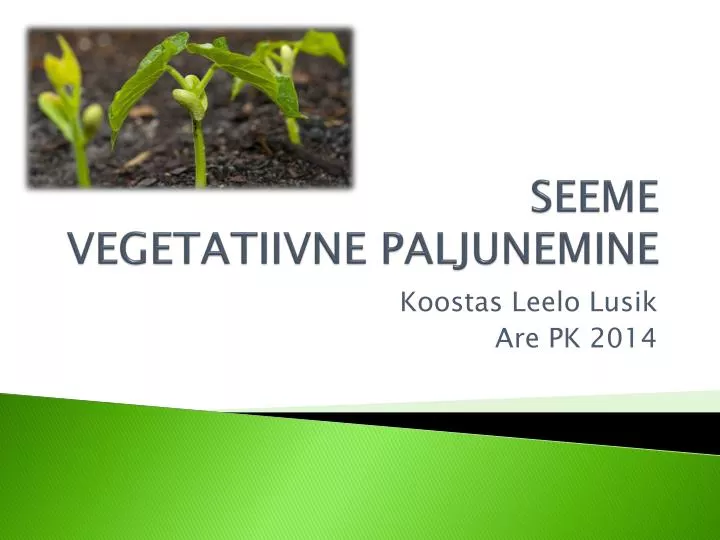 seeme vegetatiivne paljunemine