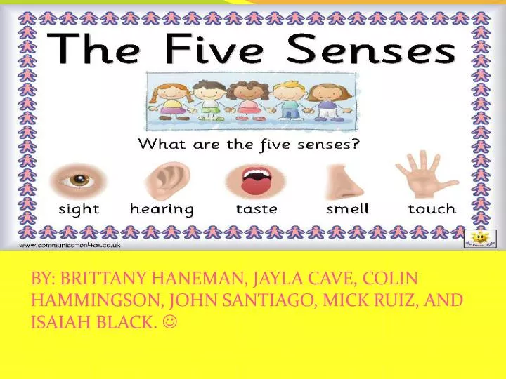 our 5 senses
