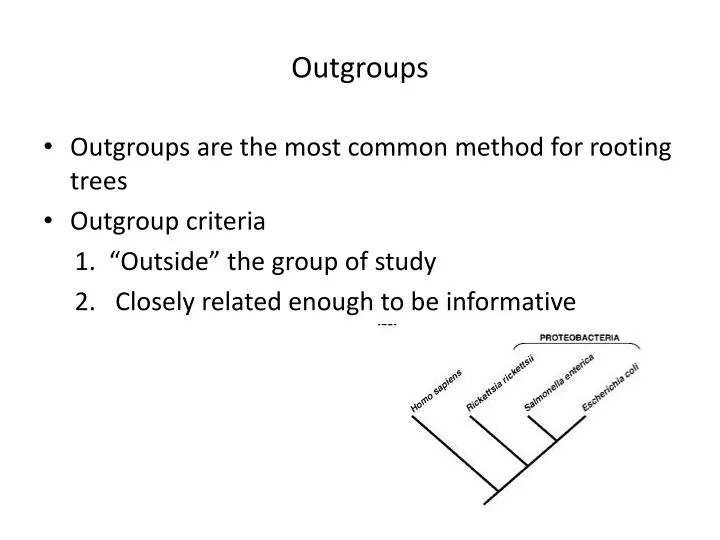 outgroups