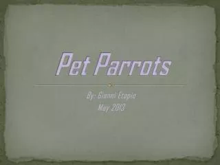 Pet Parrots