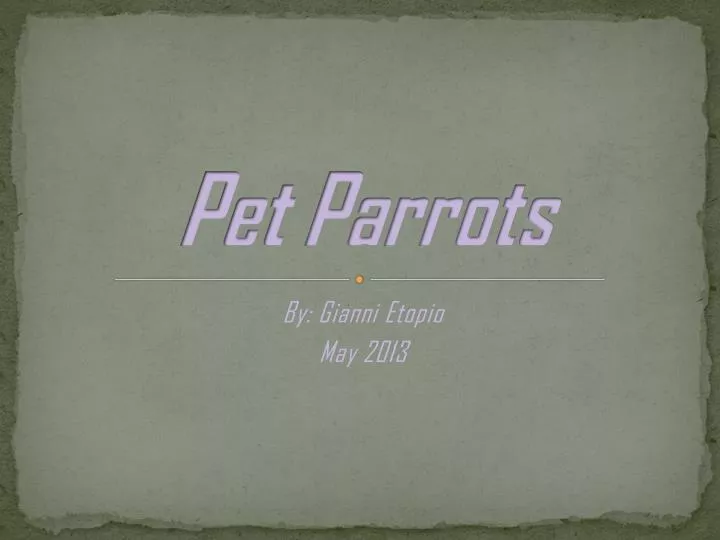 pet parrots