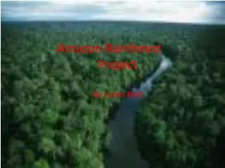 Amazon Rainforest Project By James Reid