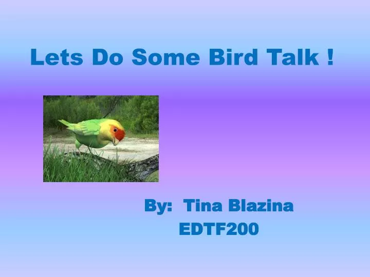 lets do some bird talk