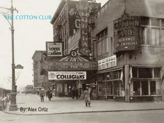 The cotton club