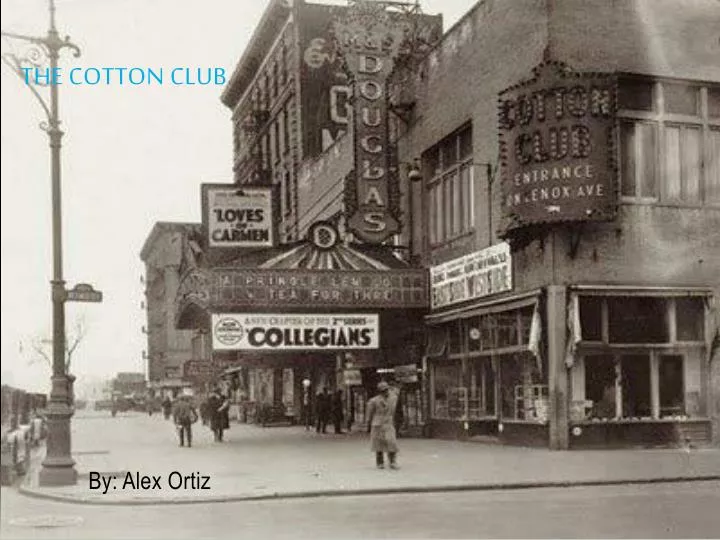 the cotton club