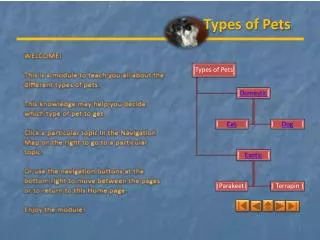 Types of Pets