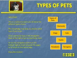 WELCOME! This is a module to teach you all about the different types of pets.