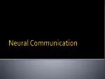 Neural Communication - slide 1