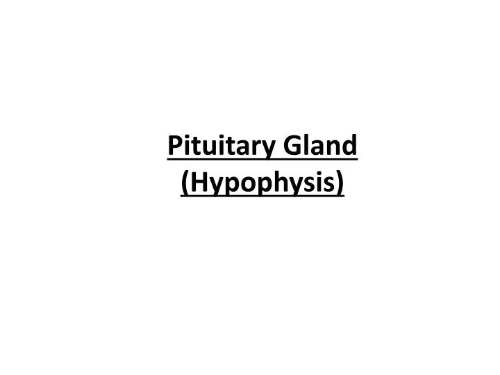 pituitary gland hypophysis