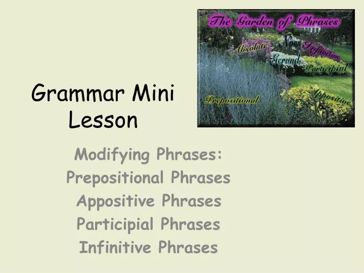 grammar mini lesson