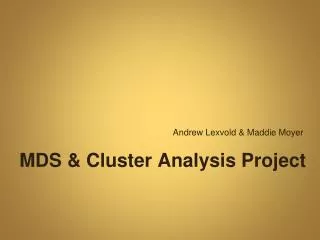 MDS &amp; Cluster Analysis Project