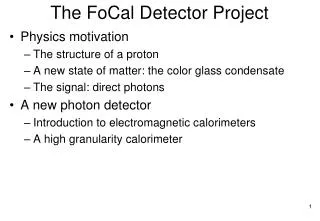 The FoCal Detector Project