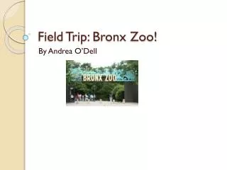Field Trip: Bronx Zoo!