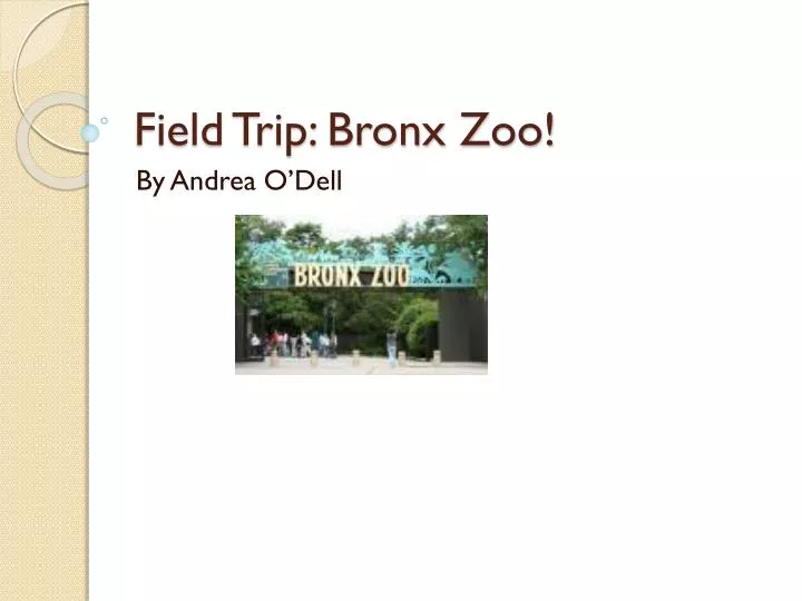 field trip bronx zoo