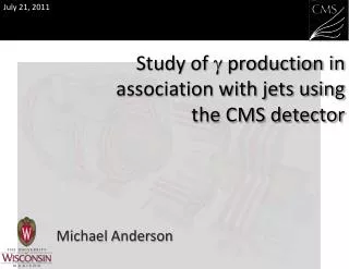 Study of g production in association with jets using the CMS detector