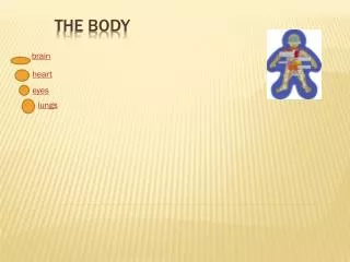 The body