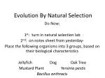 Evolution By Natural Selection - slide 1