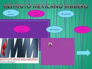 INSTITUTO MEXICANO MADERO
