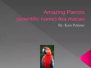 Amazing Parrots (scientific name) Ara macao