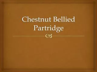 Chestnut Bellied Partridge