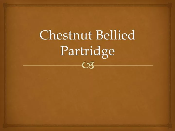 chestnut bellied partridge
