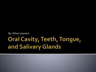 Oral Cavity, Teeth, Tongue, and Salivary Glands