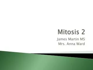 Mitosis 2