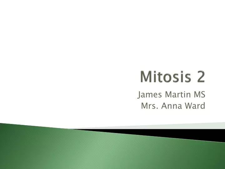 mitosis 2