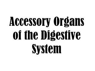 Accessory Organs of the Digestive System