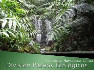 divisi n paseos ecol gicos