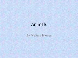 A nimals