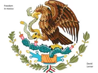 Freedom In mexico