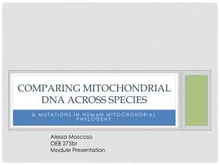 Comparing Mitochondrial DNA across species