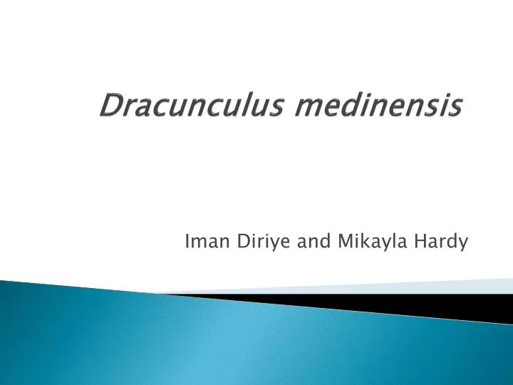 dracunculus medinensis