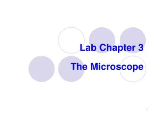 Lab Chapter 3