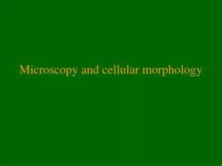Microscopy and cellular morphology