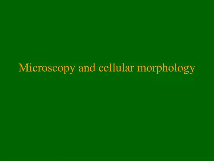 microscopy and cellular morphology
