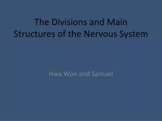 the divisions and main structures of the nervous system