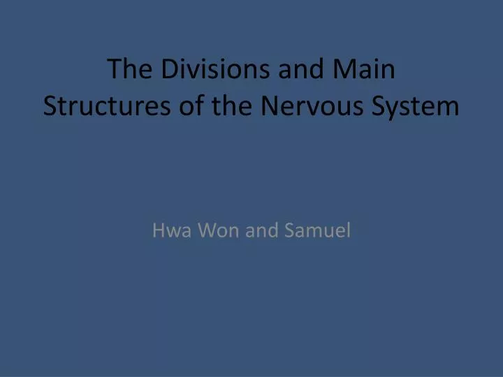 the divisions and main structures of the nervous system