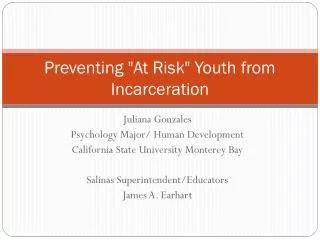 Preventing &quot;At Risk&quot; Youth from Incarceration