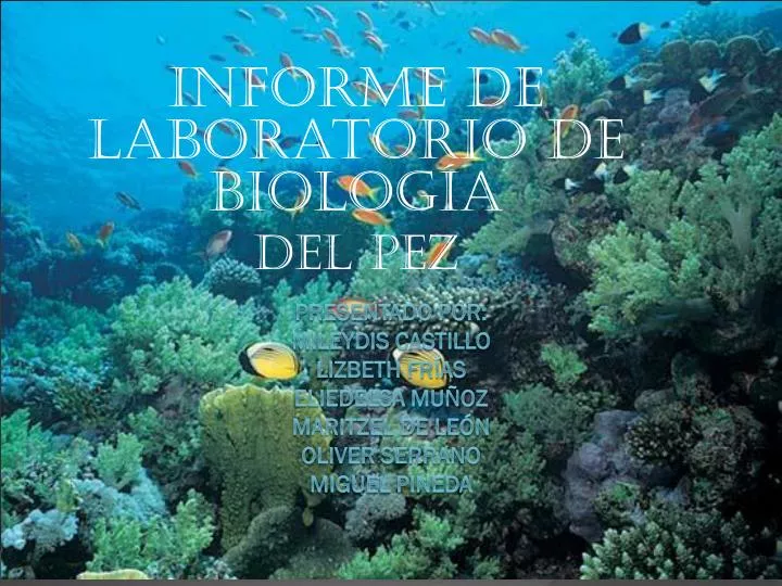 informe de laboratorio de biolog a del pez