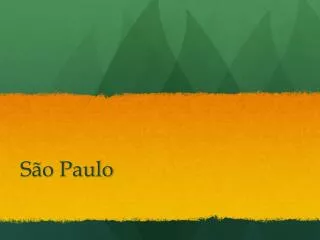 s o paulo