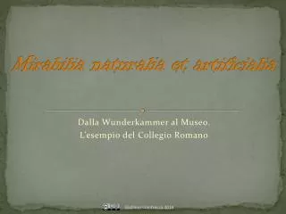 mirabilia naturalia et artificialia