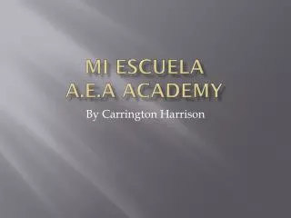 Mi escuela A.E.A Academy