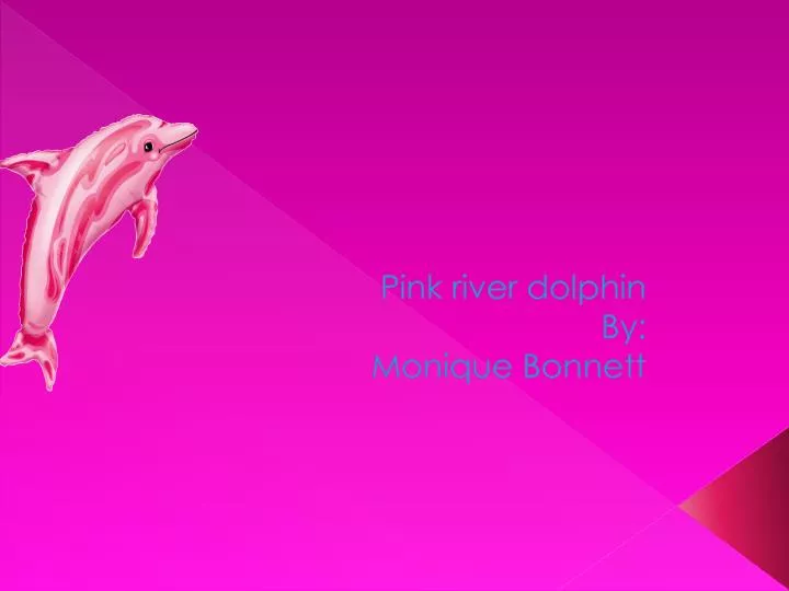 pink river dolphin by monique bonnett