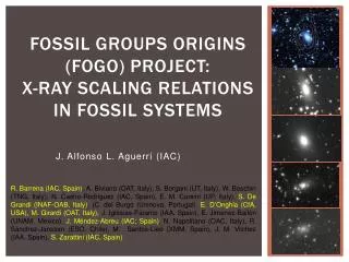Fossil Groups Origins (FOGO) project: X- ray scaling relations in Fossil systems
