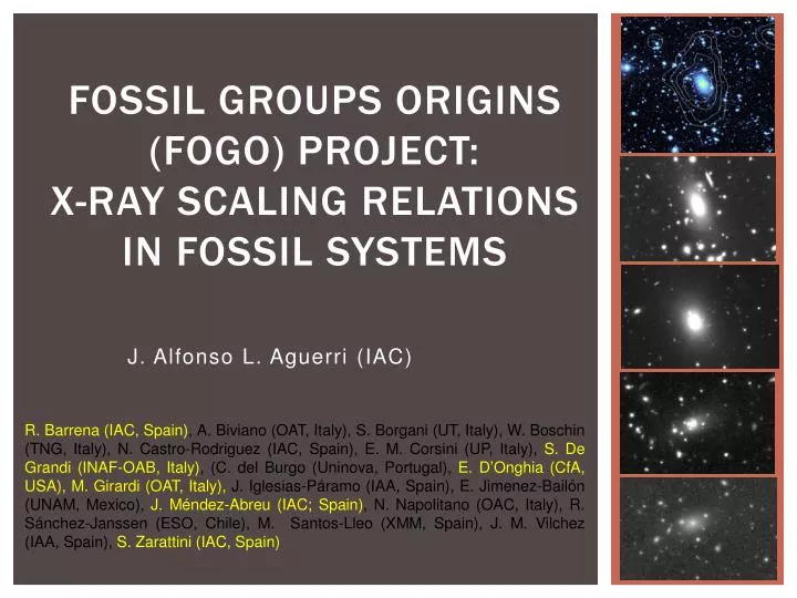 fossil groups origins fogo project x ray scaling relations in fossil systems