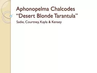 Aphonopelma Chalcodes “Desert Blonde Tarantula”