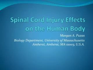 Spinal Cord Injury Effects on the Human Body