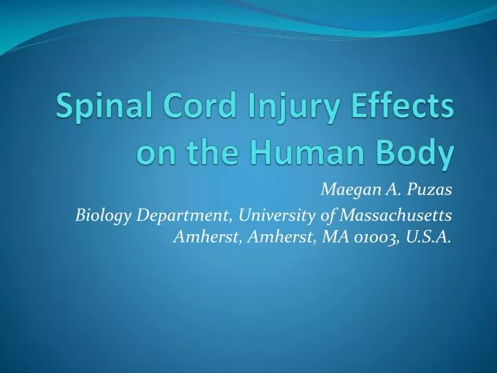 spinal cord injury effects on the human body